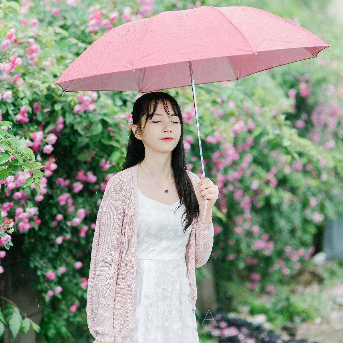 雨中打伞的清纯漂亮美女