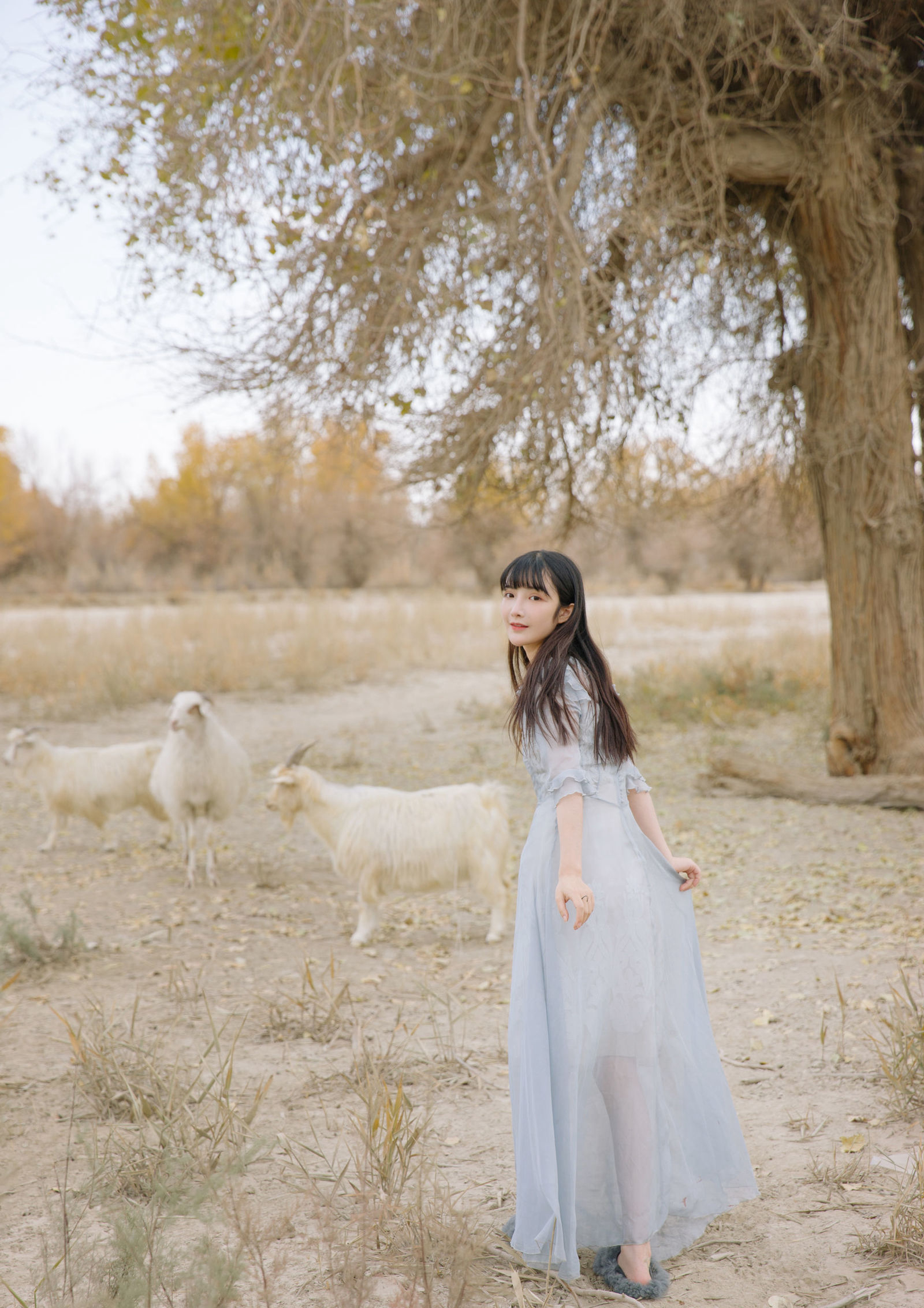 美若天仙水灵气质少女沙漠主题养眼长裙清纯写真图片