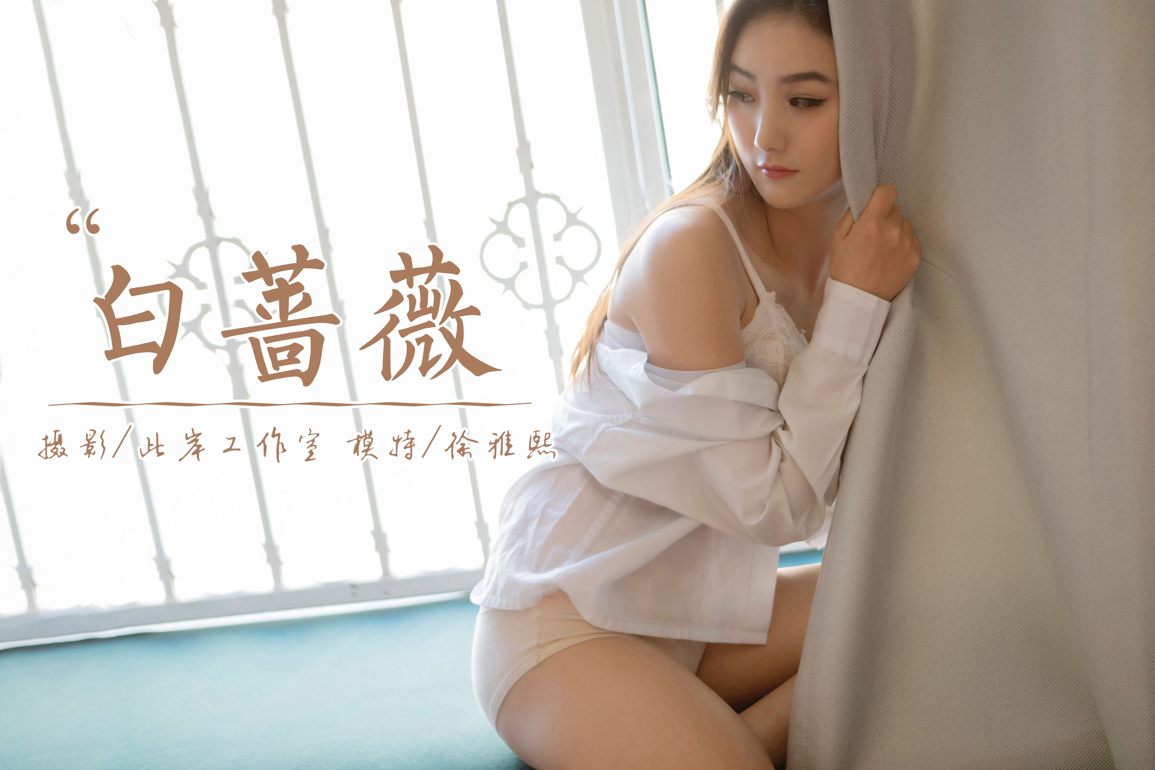 《白蔷薇》作品封面图