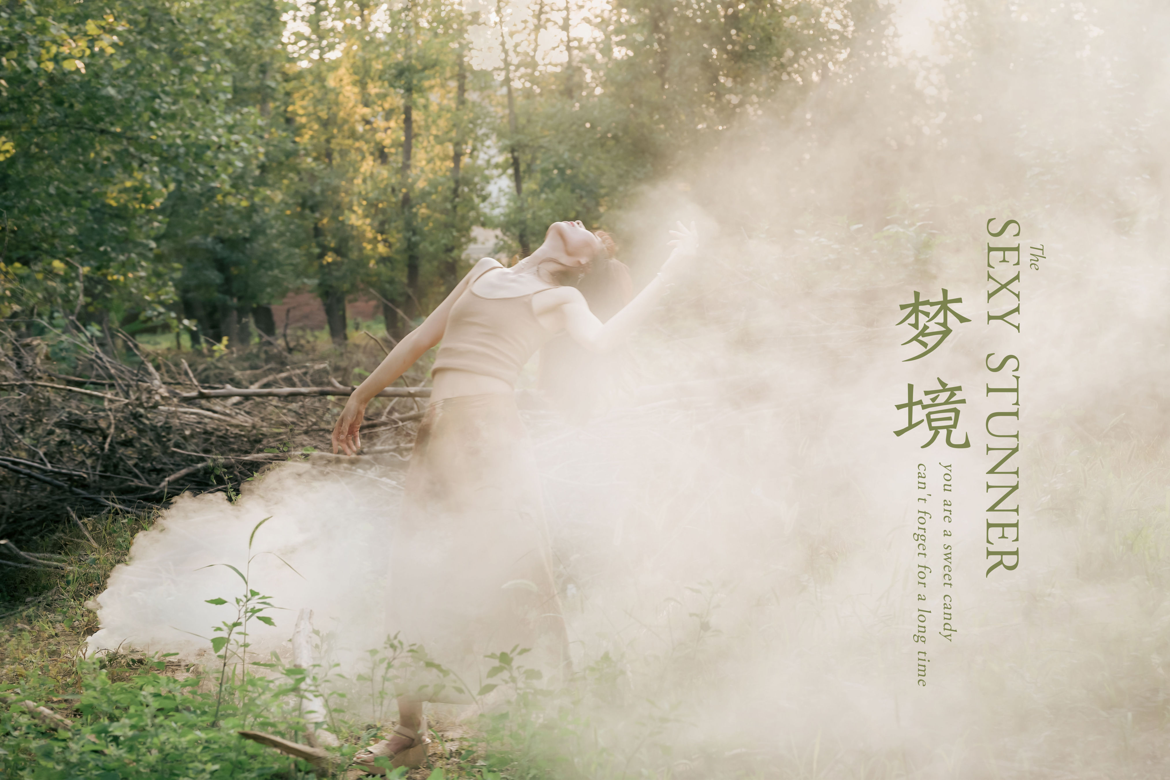 《梦境》作品封面图