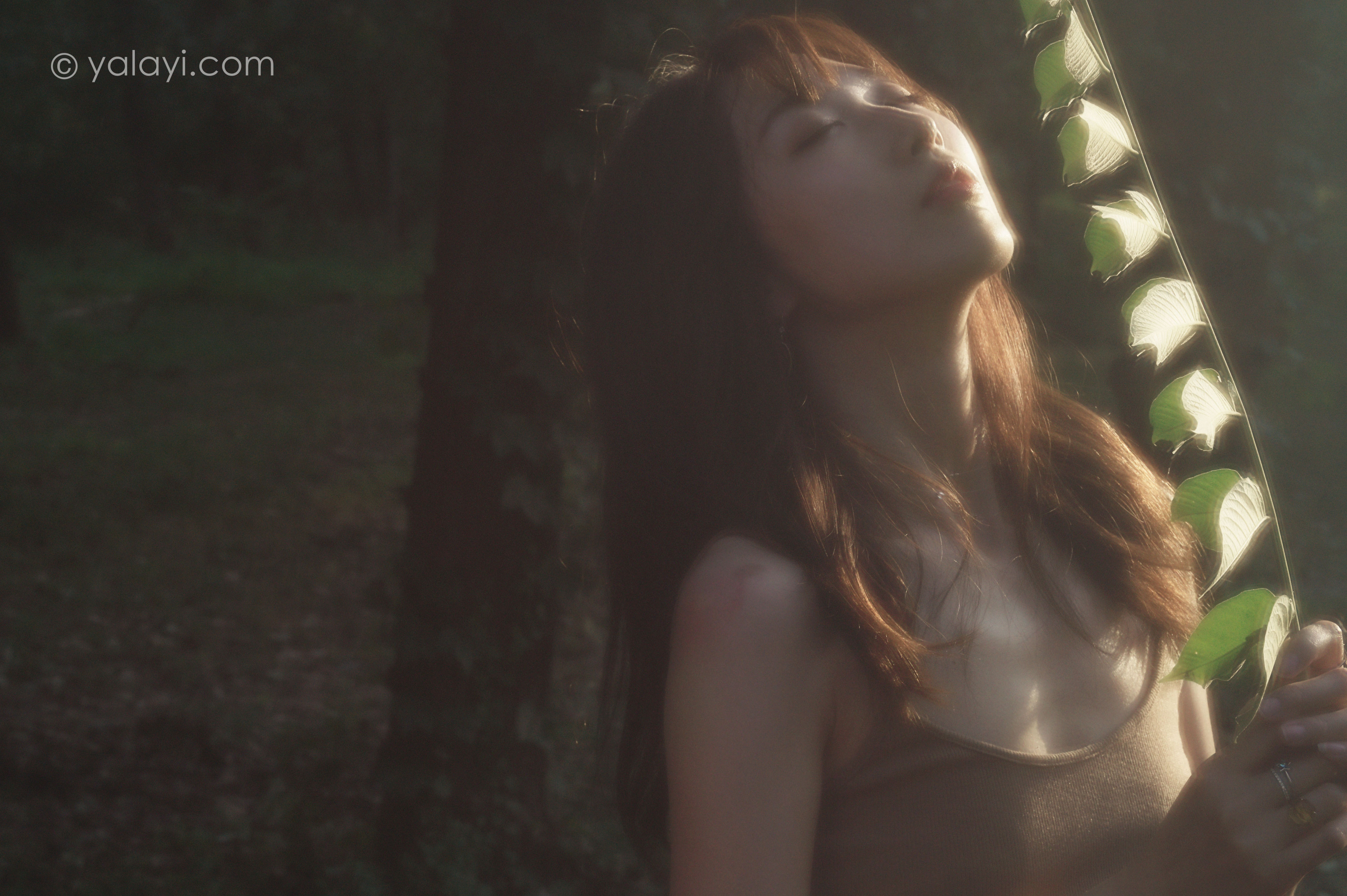 《梦境》预览图3