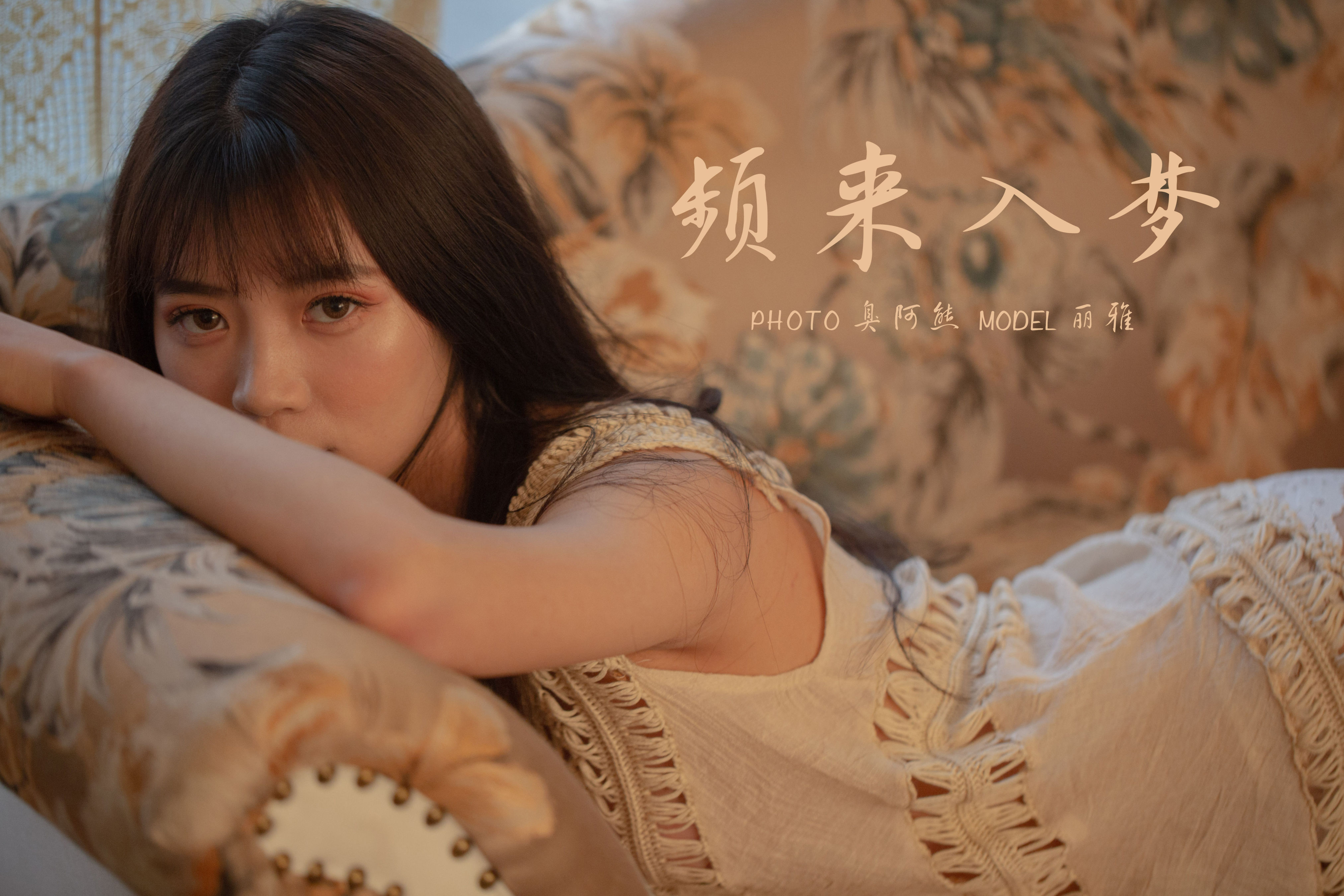 《频来入梦》作品封面图